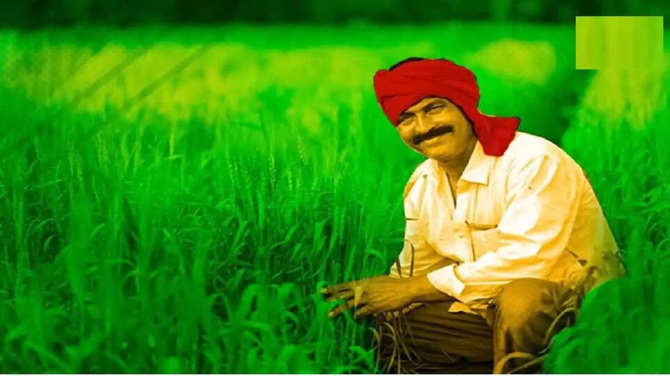 मध्य प्रदेश फसल गिरदावरी रिपोर्ट 2023: अब ऑनलाइन देखे और डाउनलोड करें, जाने पूरी प्रक्रिया