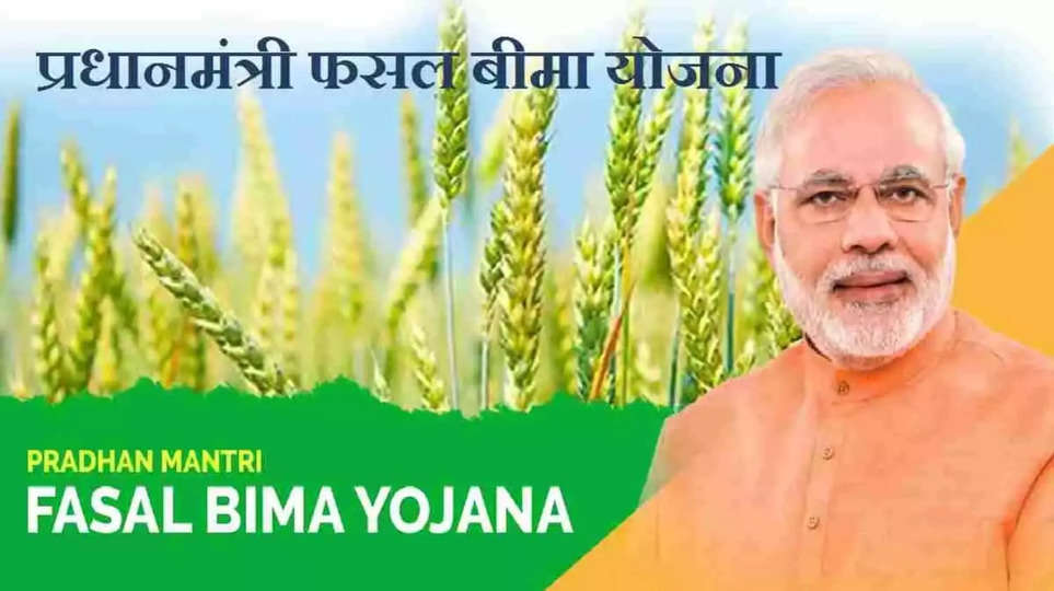 PM Fasal Bima Yojana: किसान 31 दिसंबर तक करा सकते हैं रबी फसलों का बीमा, जानिए कैसे करें आवेदन
