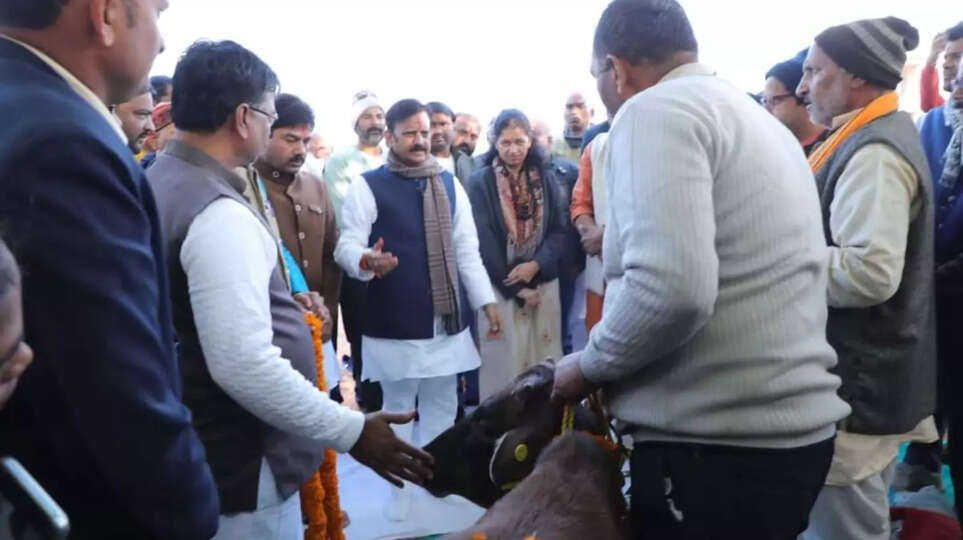रीवा जिले में बसामन मामा गौवंश वन्य विहार में शेष निर्माण कार्यों को शीघ्र पूर्ण करें - उप मुख्यमंत्री श्री राजेन्द्र शुक्ल