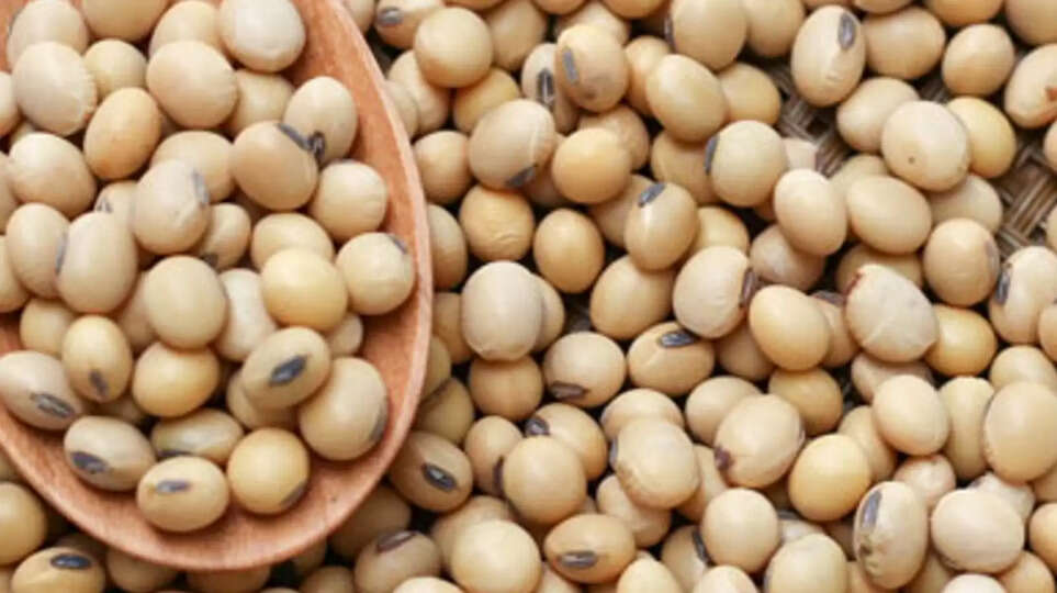 सोयाबीन भाव एमपी, MP soybean price today, सोयाबीन के ताजा भाव, Soybean rate in Madhya Pradesh, सोयाबीन MSP 2026, भावांतर भुगतान योजना एमपी, MP mandi soybean price, सोयाबीन किसानों की खबर, Soybean price hike MP, आज का सोयाबीन भाव, किसानों के लिए बड़ी खबर, Soybean market update, MP agriculture news in Hindi, सोयाबीन दाम बढ़े, Soybean rate increase today