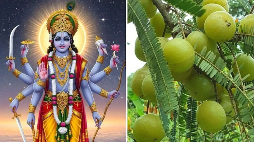 Significance of Amla Tree in Ekadashi ​Lord Vishnu Aarti for Ekadashi ​फाल्गुन मास की एकादशी का महत्व