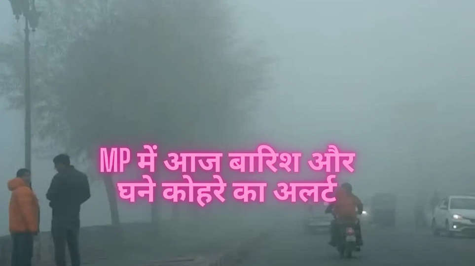 mp weather 