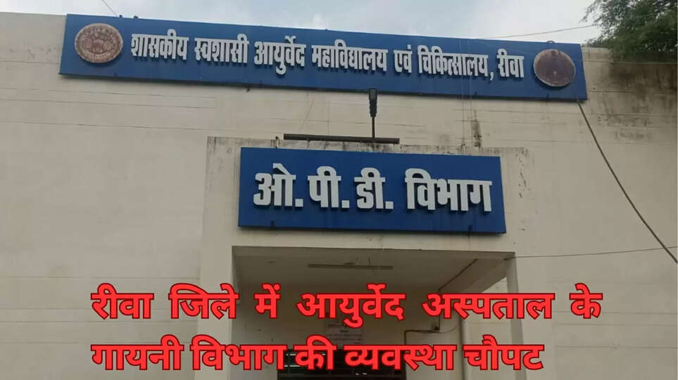 REWA 