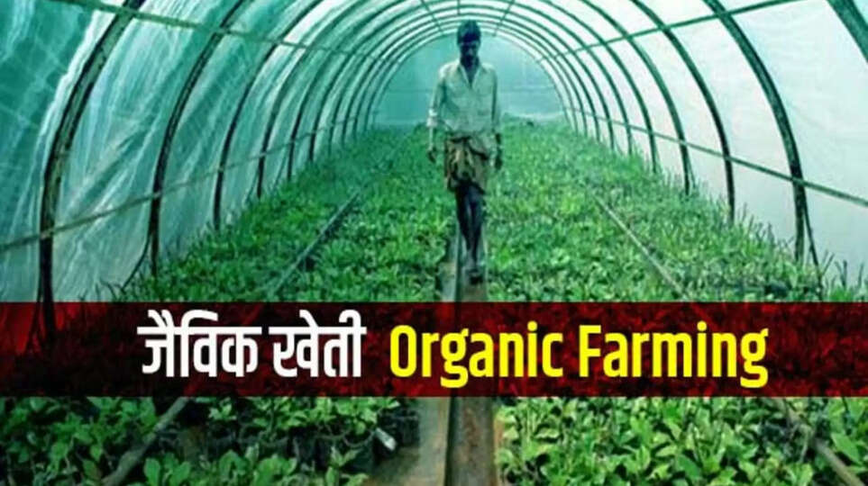 ऑर्गेनिक खेती भारत,