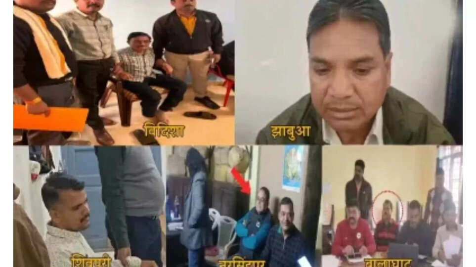 ​Public Servant / Government Official