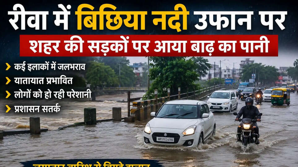 Rewa news