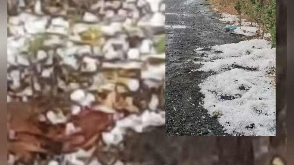 Agriculture News Hindi, किसानों को मुआवजा, आंधी-तूफान का कहर, कटी फसल का नुकसान, मालवा मौसम समाचार